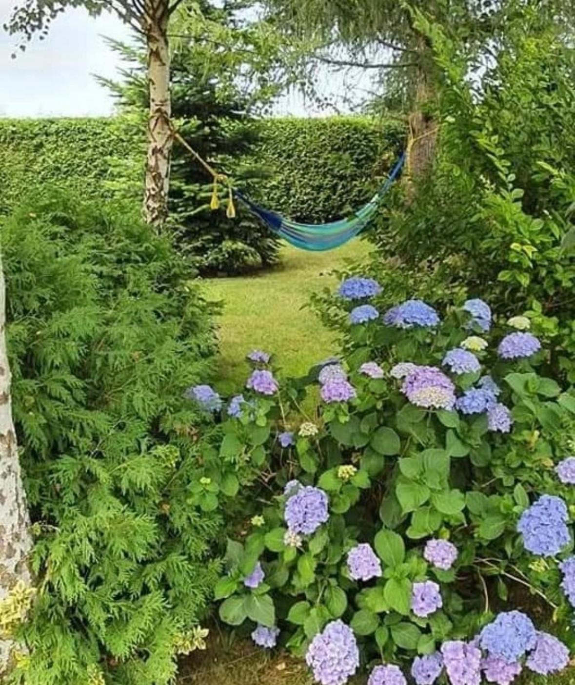 Apartamenty Na Baltyckiej Choczewo エクステリア 写真